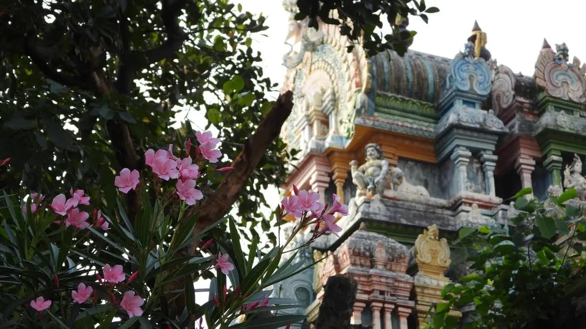 Sacred Gardens: Ancient Wisdom Against Western Neglect