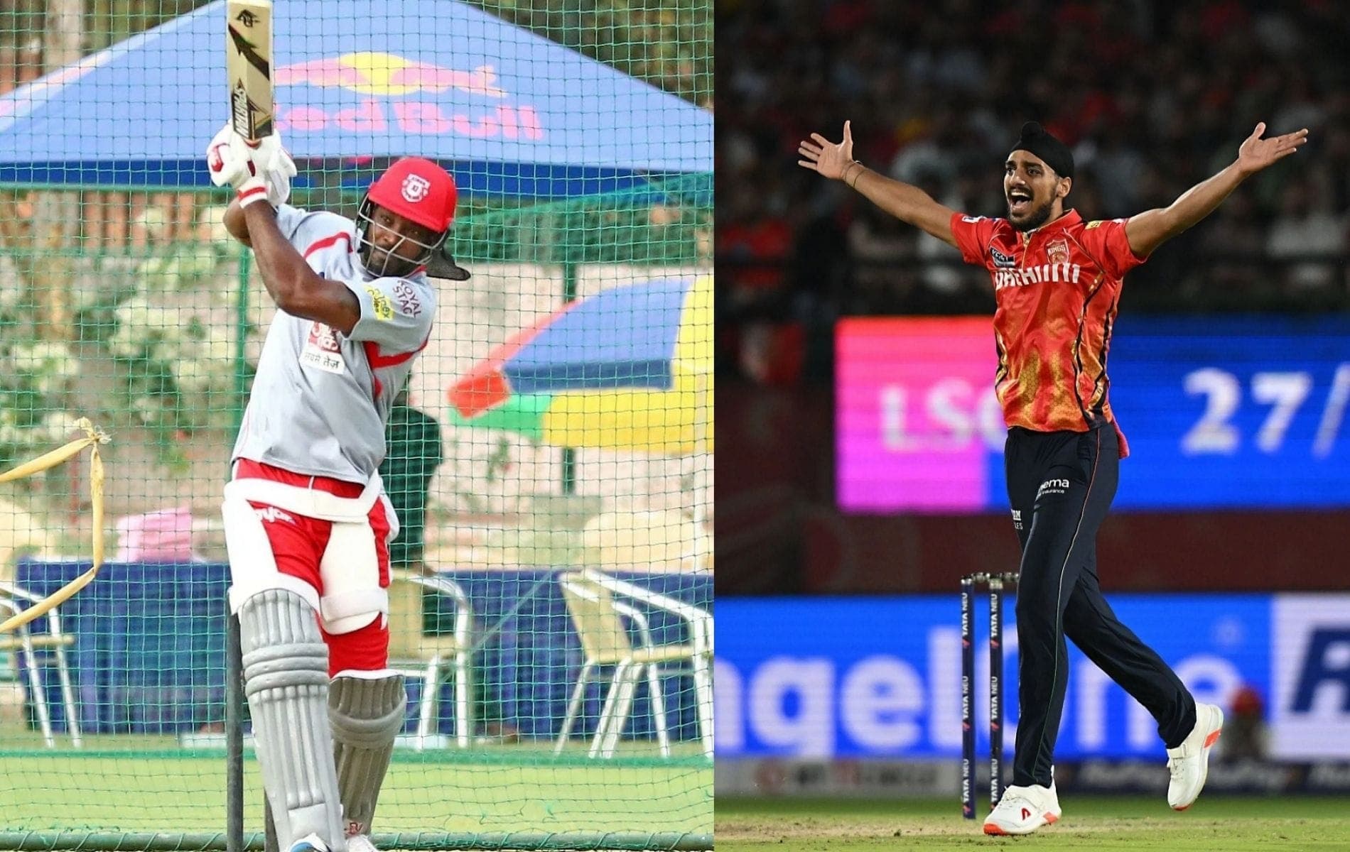 Punjab Kings Cricket Legacy: A Testament to Perseverance