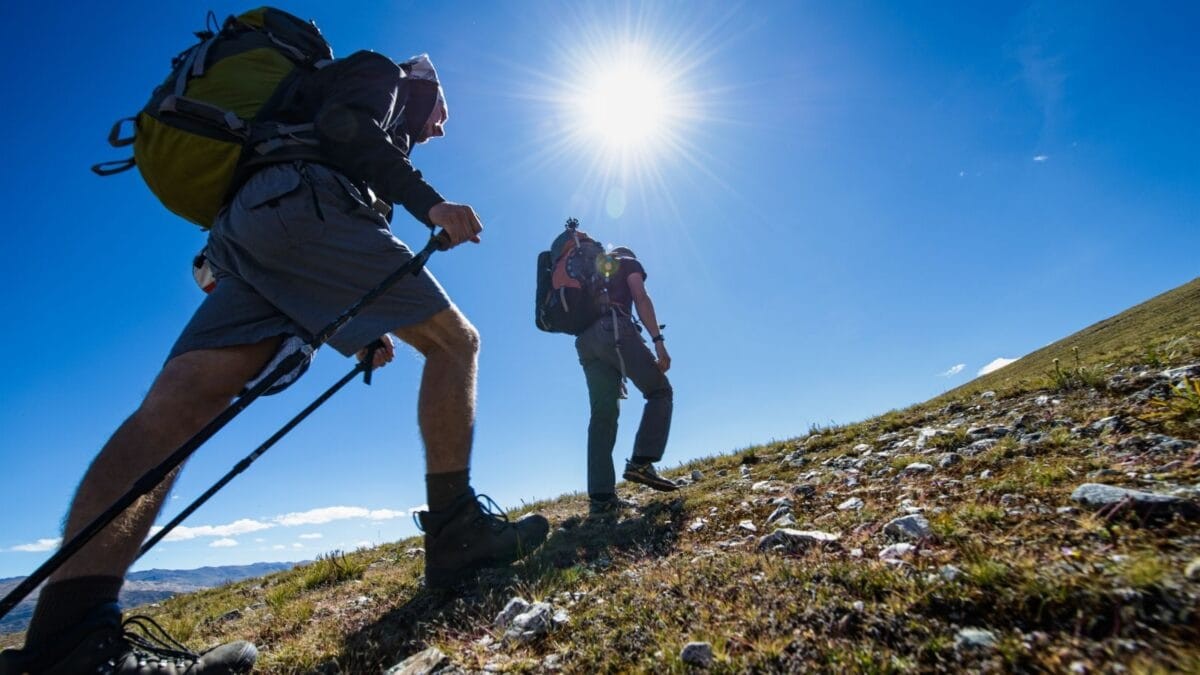 AI Fools Our Youth, But Zimbabwe's Mountains Demand Respect, Not Chatbots